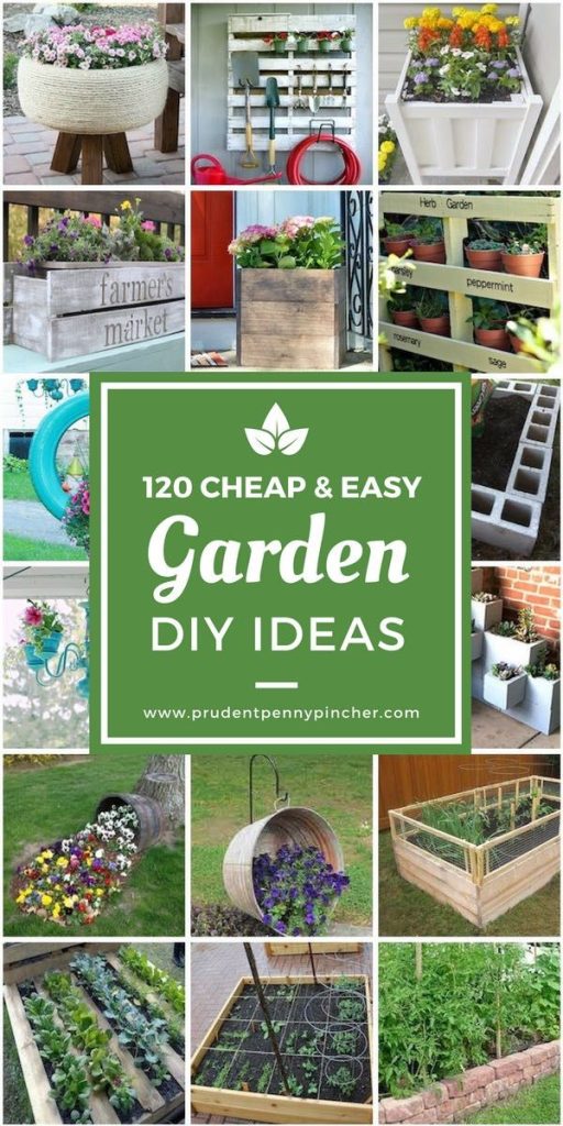 Diy Garden Projects on a Budget